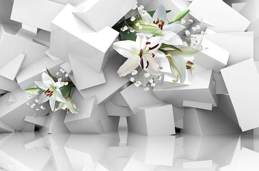 3D 024
