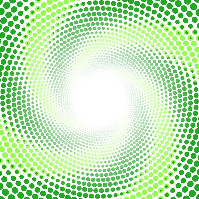 3D 036