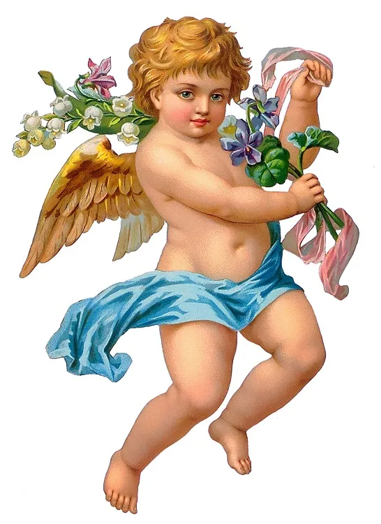 Angels 026