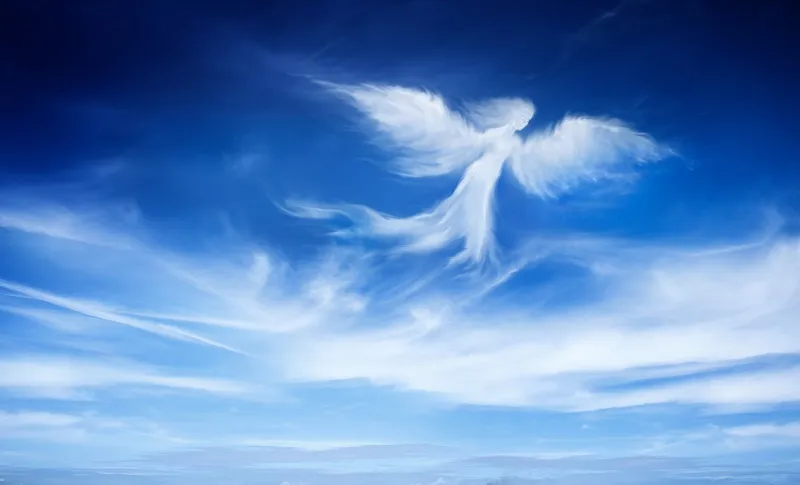 Angels 039