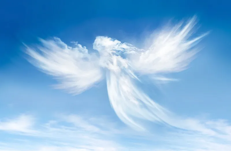 Angels 004