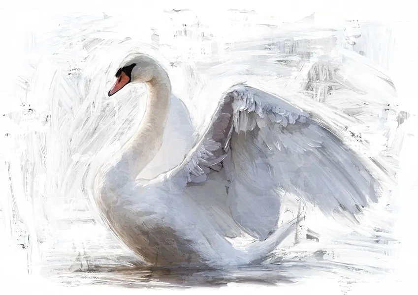 Animals 081