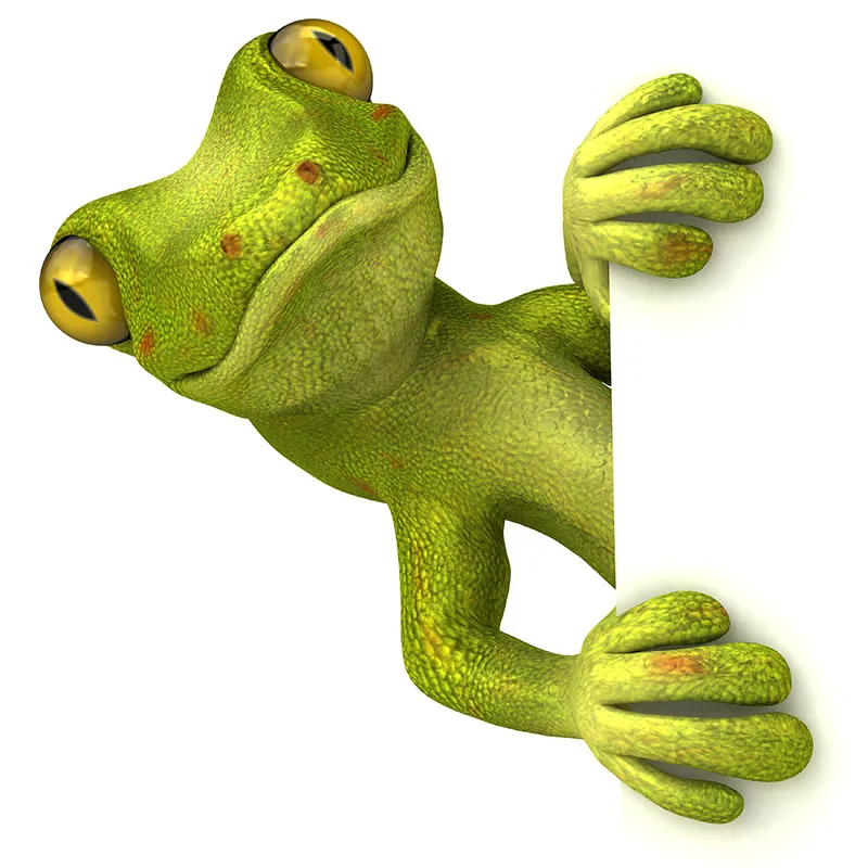 Animals 076
