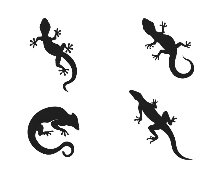 Animals 090