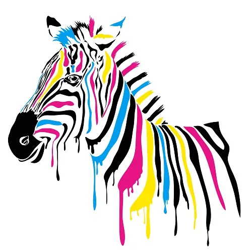 Animal 050