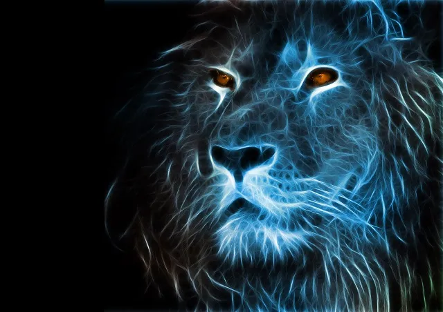 Animal 047