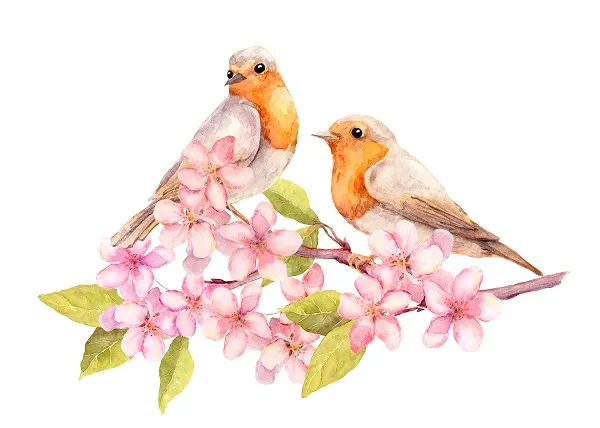 Animal 026