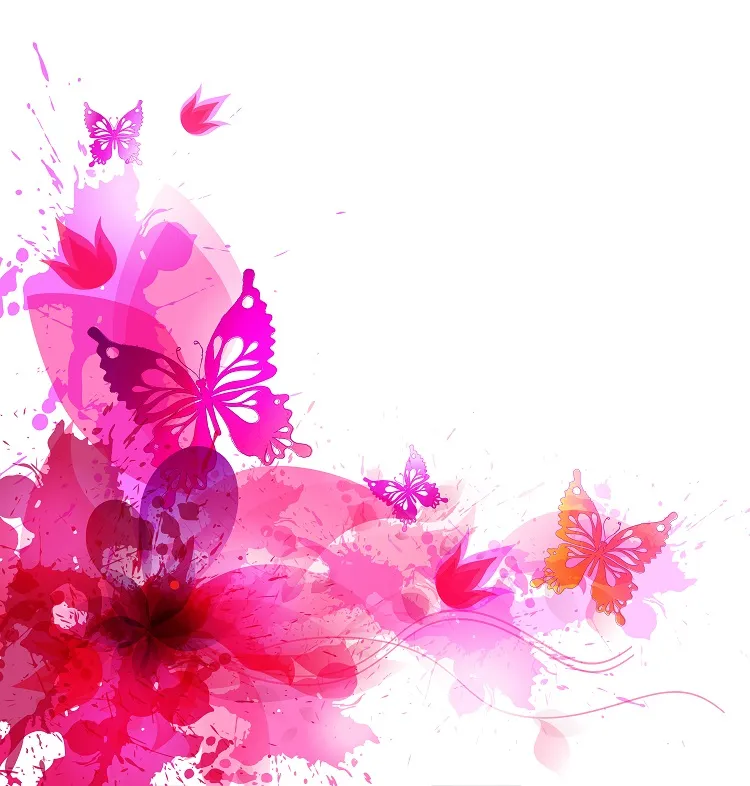 Butterfly 034