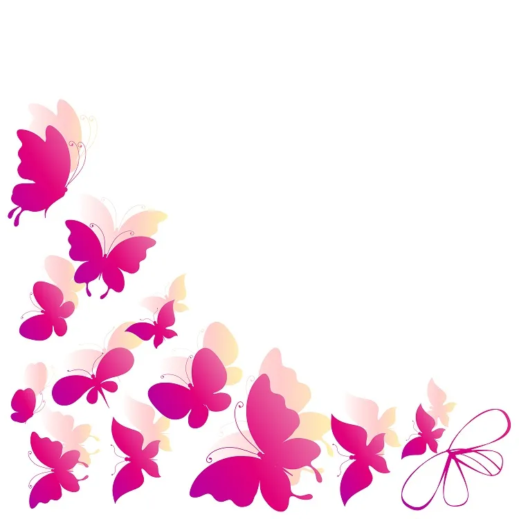 Butterfly 035