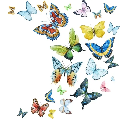 Butterfly 117