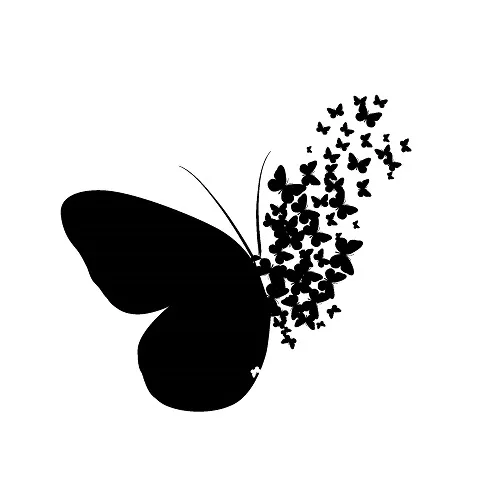 Butterfly 092