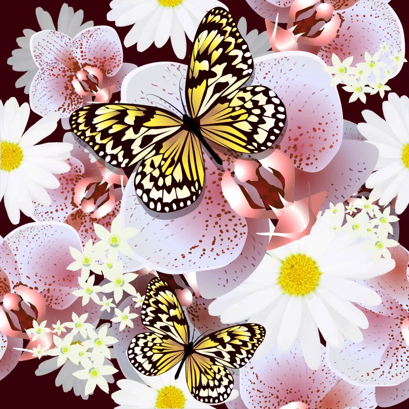 Butterfly 135