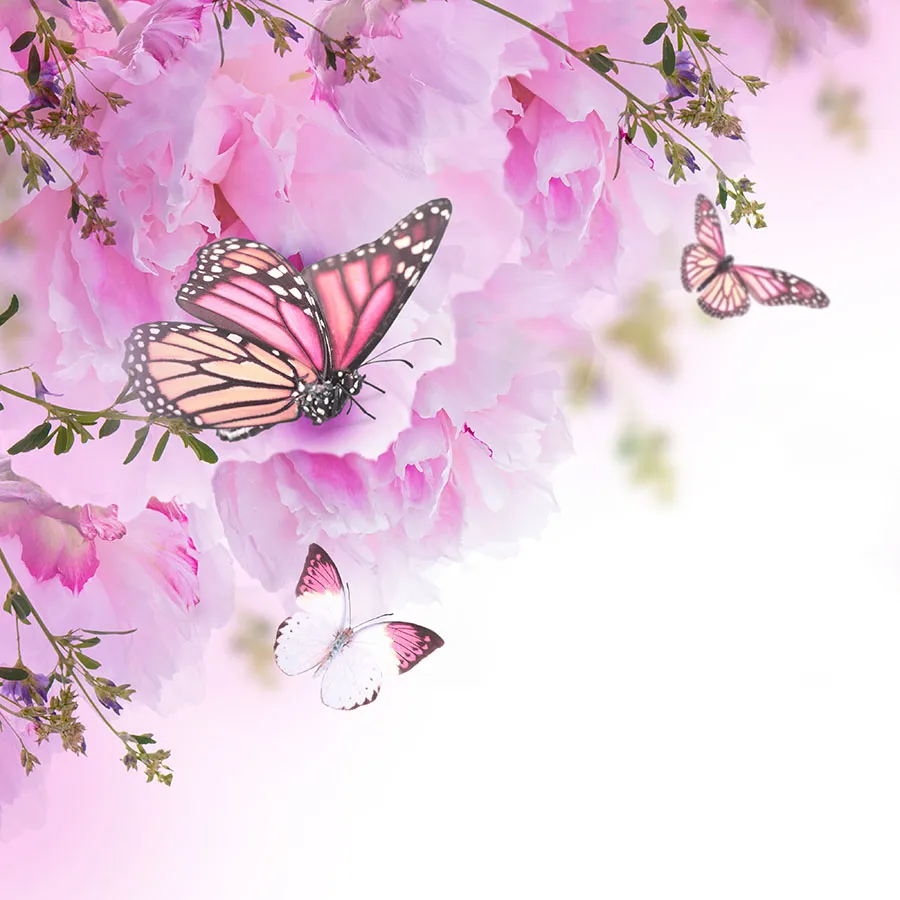 Butterfly 149