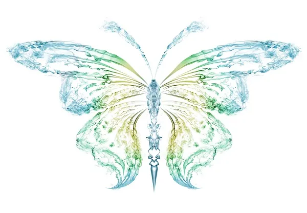 Butterfly 055