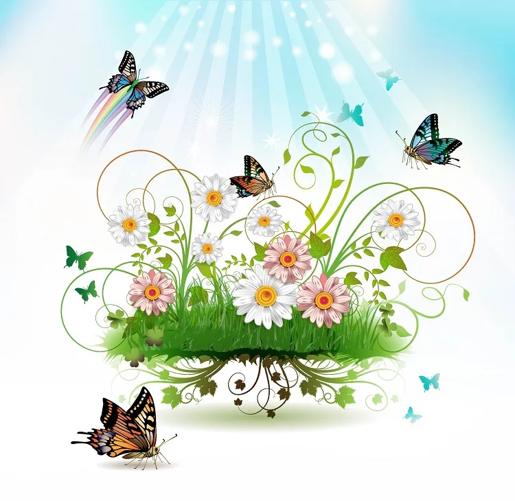 Butterfly 086