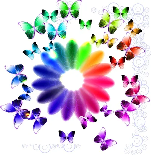 Butterfly 089