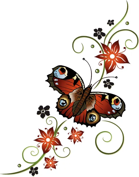 Butterfly 128