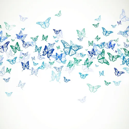 Butterfly 079