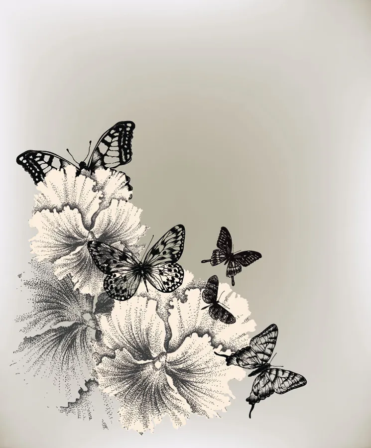 Butterfly 143