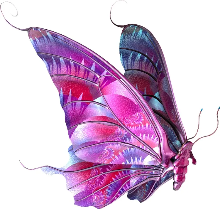 Butterfly 054