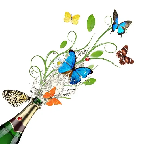 Butterfly 120