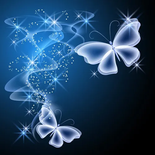 Butterfly 093