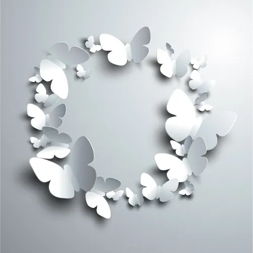 Butterfly 121