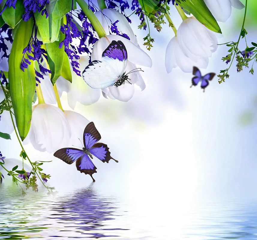 Butterfly 134
