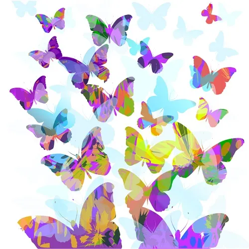 Butterfly 127