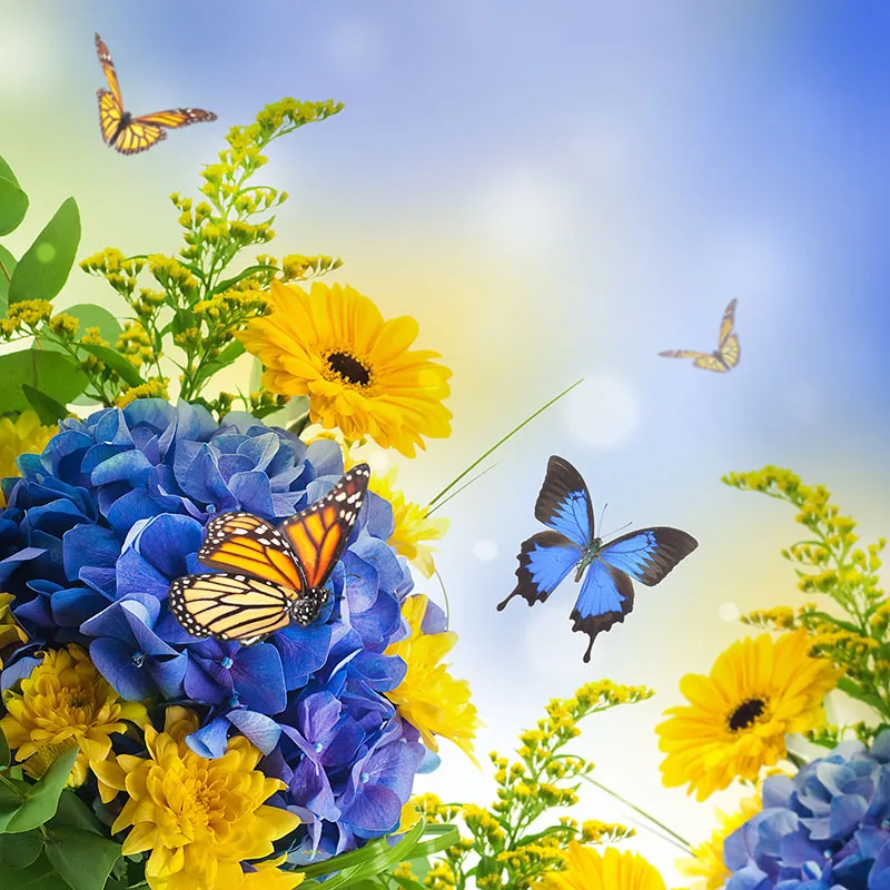 Butterfly 142