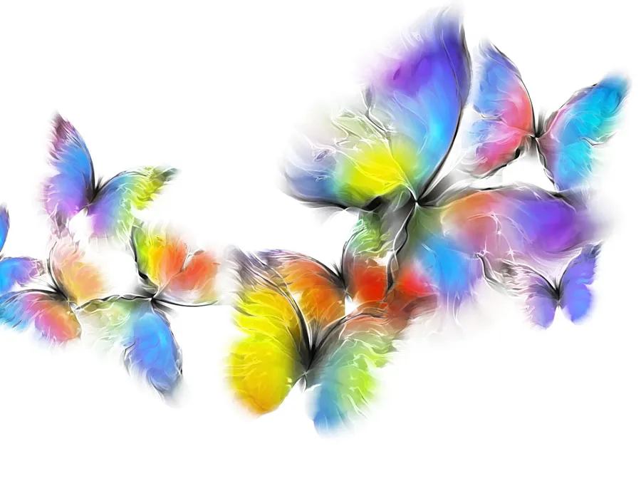 Butterfly 150