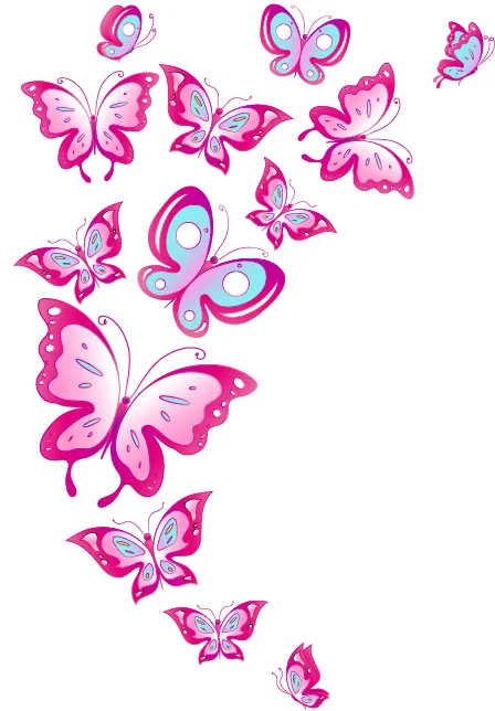 Butterfly 116