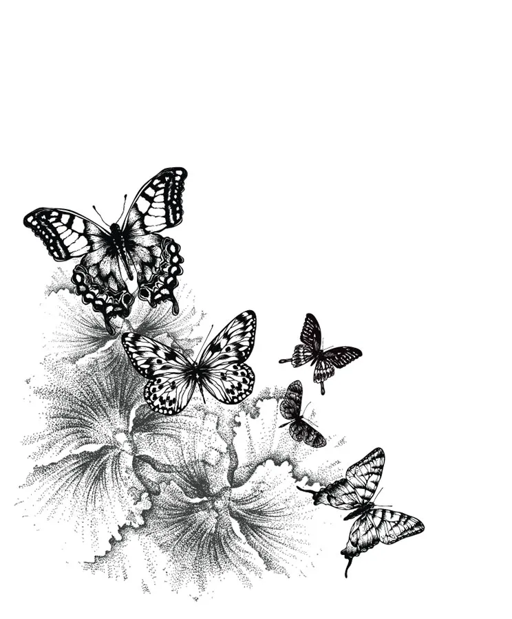 Butterfly 143a