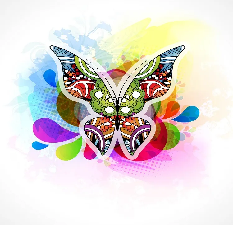 Butterfly 084