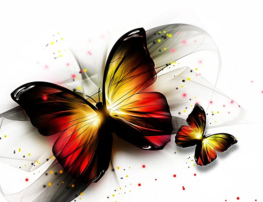 Butterfly 148