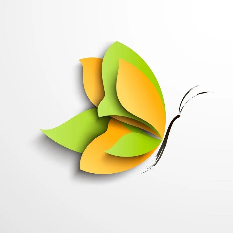 Butterfly 015