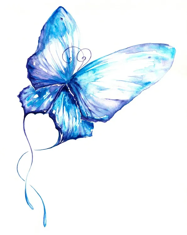 Butterfly 041