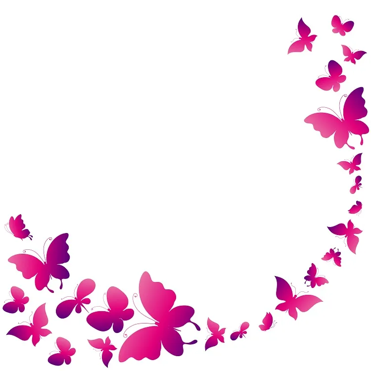 Butterfly 003