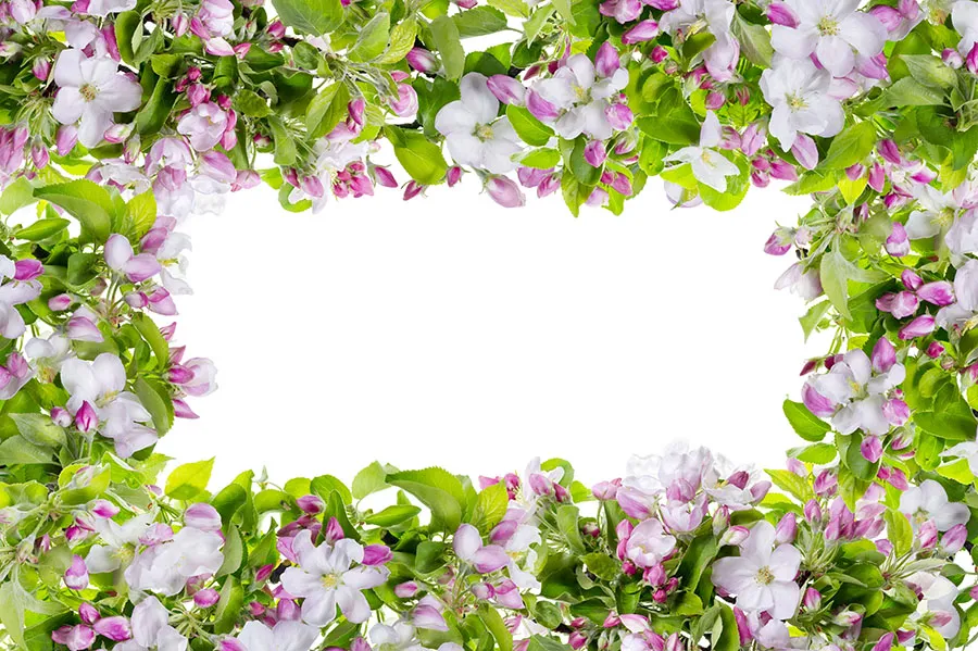 Flowers 546