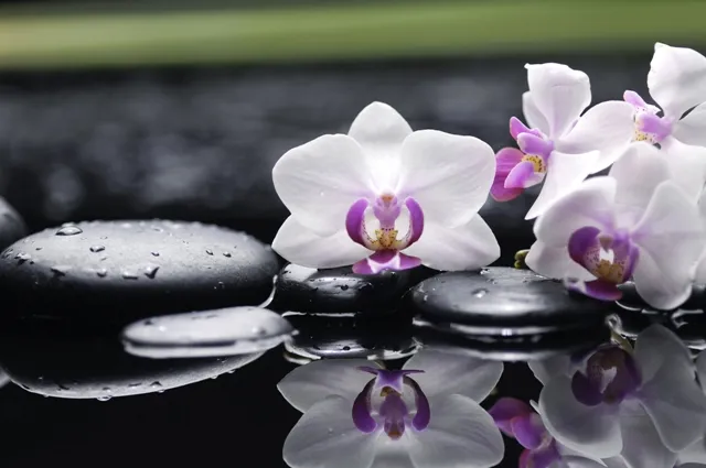Flowers 058
