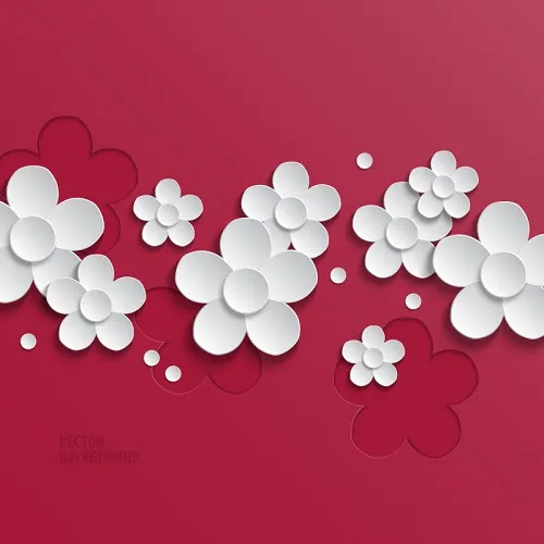 Flowers 221