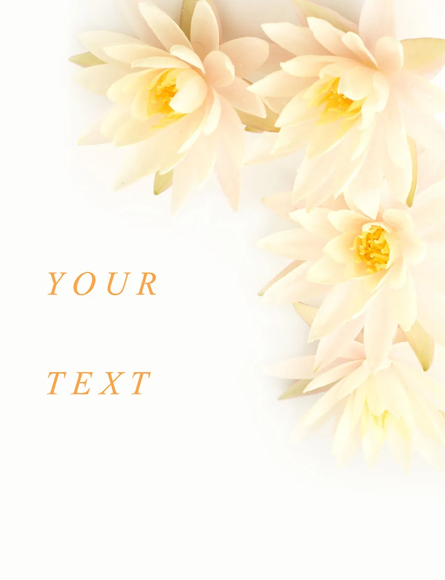 Flowers 559