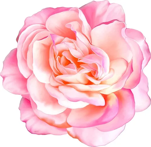 Flowers 111