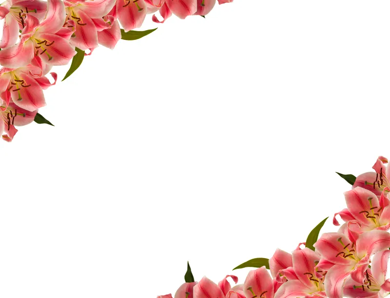 Flowers 231