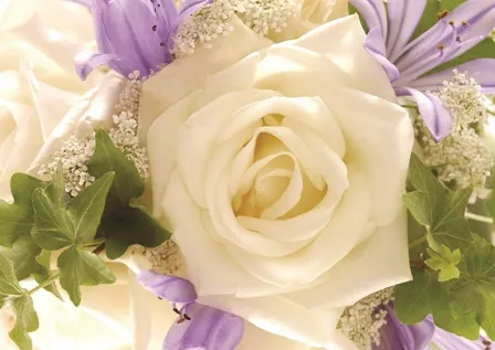 Flowers 108
