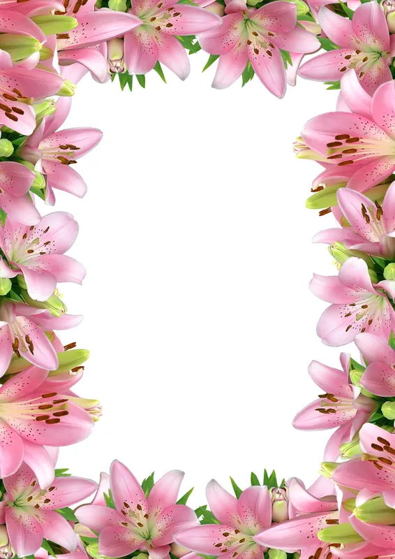 Flowers 017