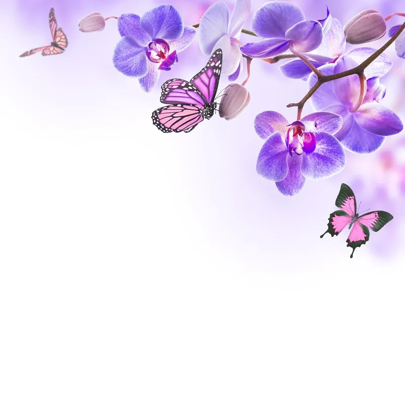 Flowers 049