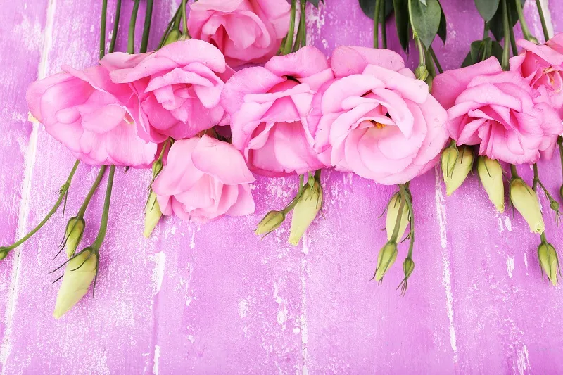Flowers 115