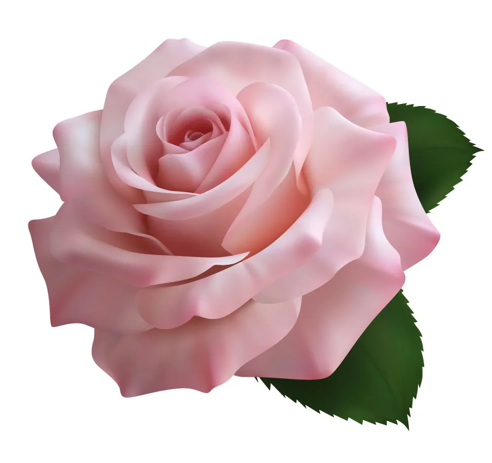 Flowers 532