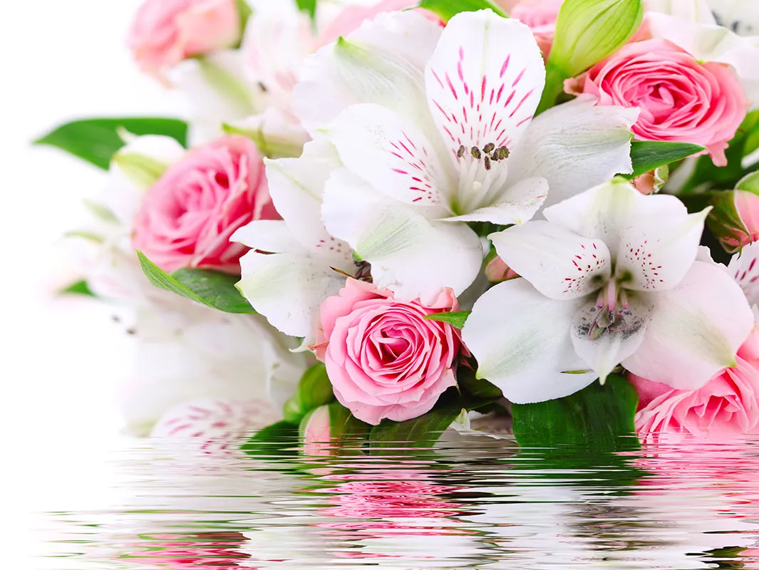 Flowers 415